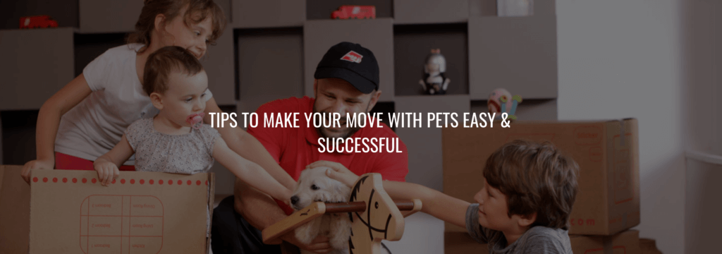 Tips To Make Your Move With Pets Easy & Successful